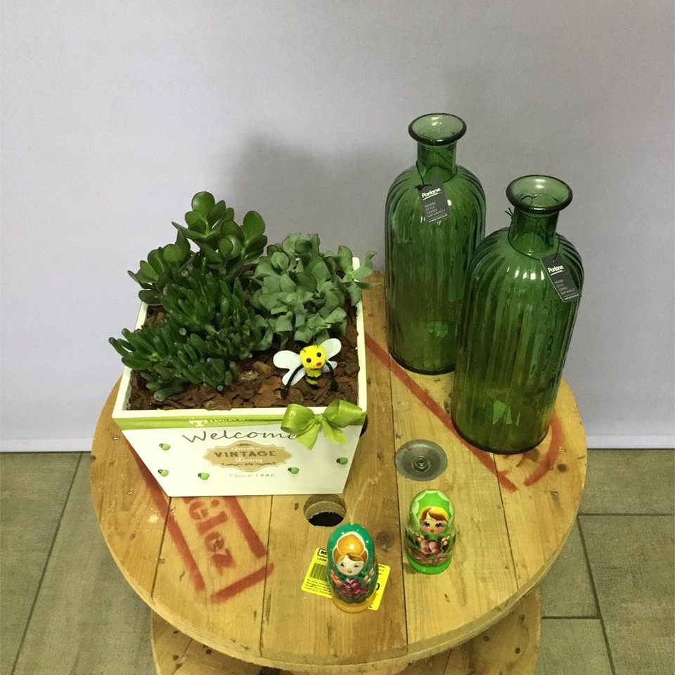 Composición Caja de flor natural y Botellas