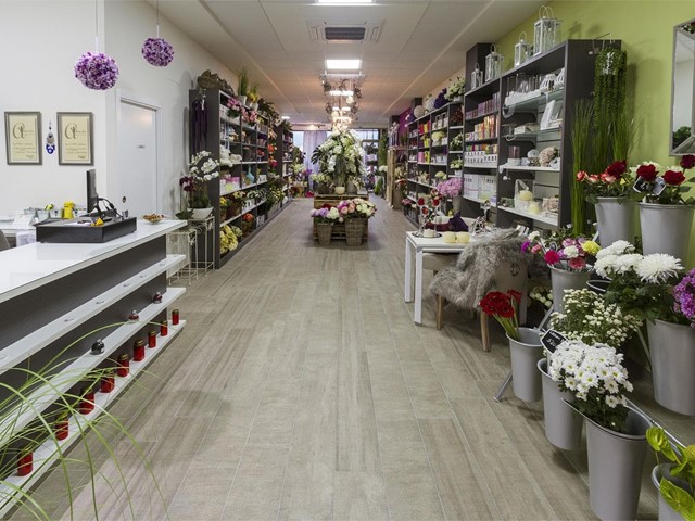 Fotos del interior de la tienda