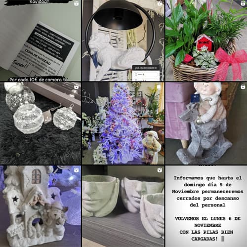 Ver Instagram de Flor de Lis