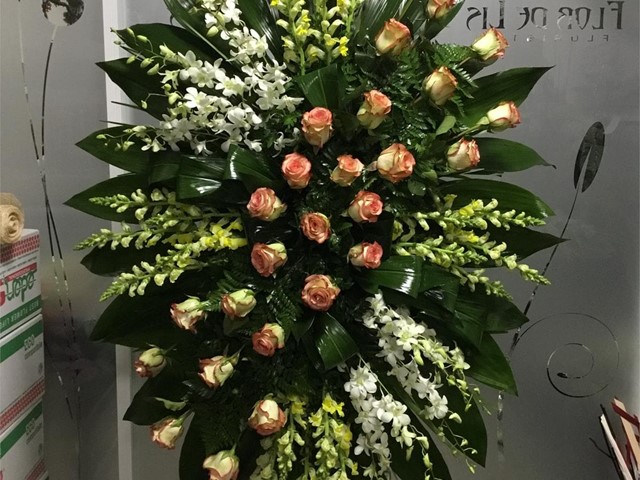 Palma Funeraria