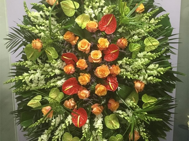 Palma Funeraria